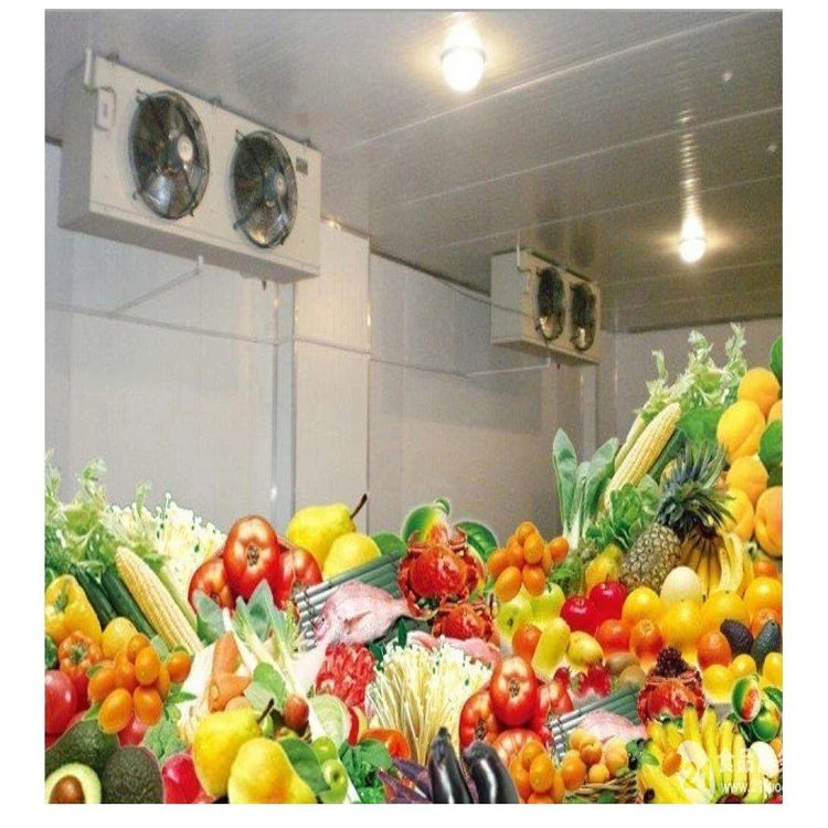 Бесшумная холодильная установка OEM, конденсаторный компрессор HP Jialiang на заказ