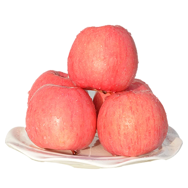 China Export Premium Quality Fresh Sweet Apple