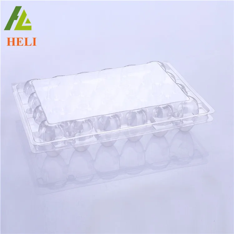 24 Holes Clamshell clear disposable plastic quail egg cartons