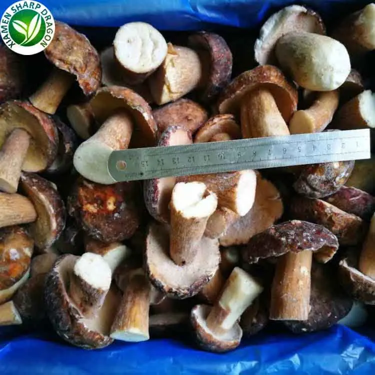  Замороженные Свежие грибы Funghi Porcini