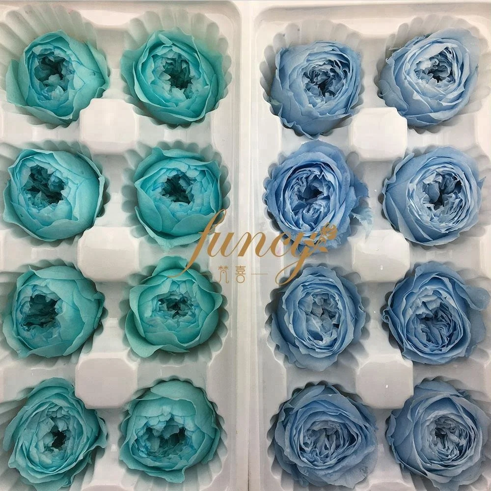 Wholesale Preserved Flower Real Natural Preserved Austin Roses for Wedding Flower Wall