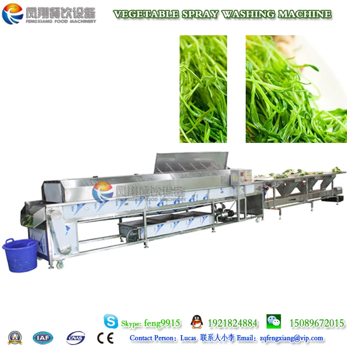 WA-1000 Vegetable Washing Machine Salad Lettuce Bubble Washing Machine
