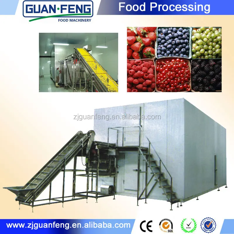 Cheap flash freezer equipment vegetables and fruits IQF freezing machine
