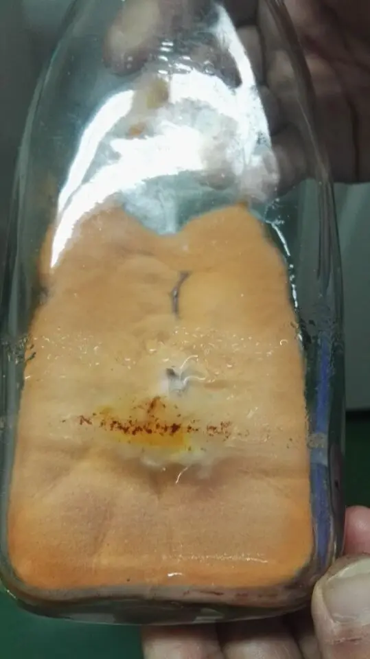 
Top Grade EP Standard monascus purpureus red yeast rice function red yeast rice no citrinin Monacolin K 