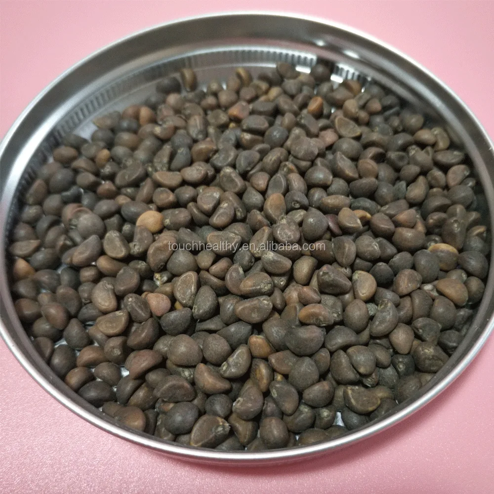 
2021 Touchhealthy supply water spinach seeds for planting as sprout/sprouting vegetable 