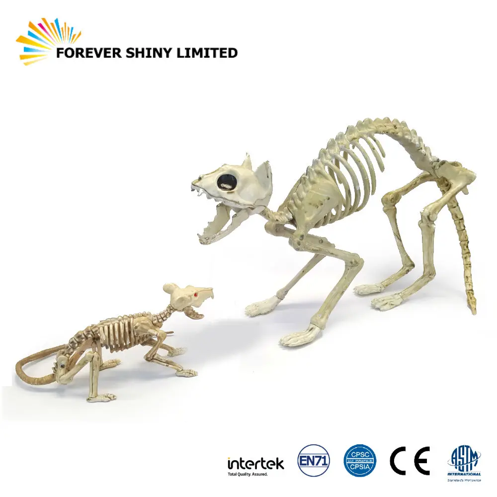Detailed Realistic Miniature Unique Novelty Model Toy Animal Halloween Plastic Movable Skeleton Cat and Rat Figurine Set