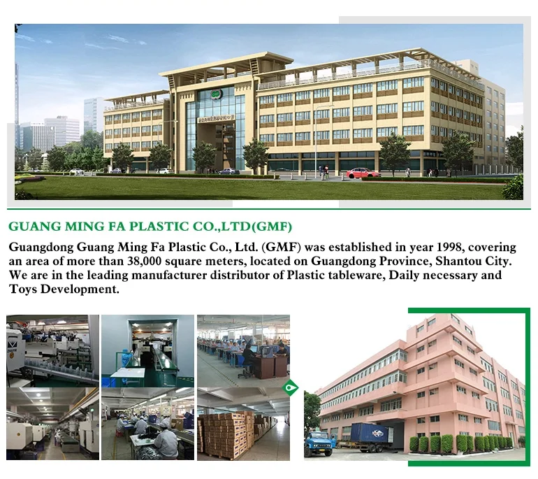 Company Introduction