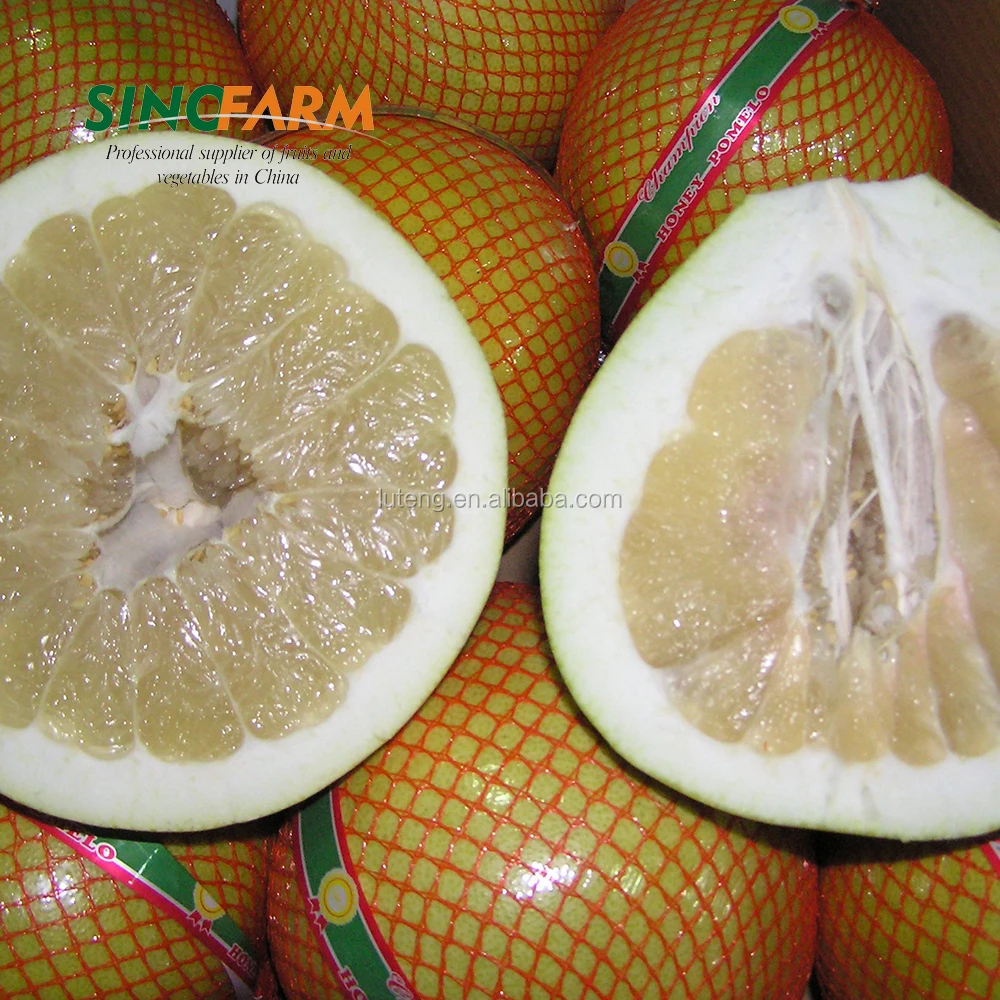 New crop Honey pomelo to Russia