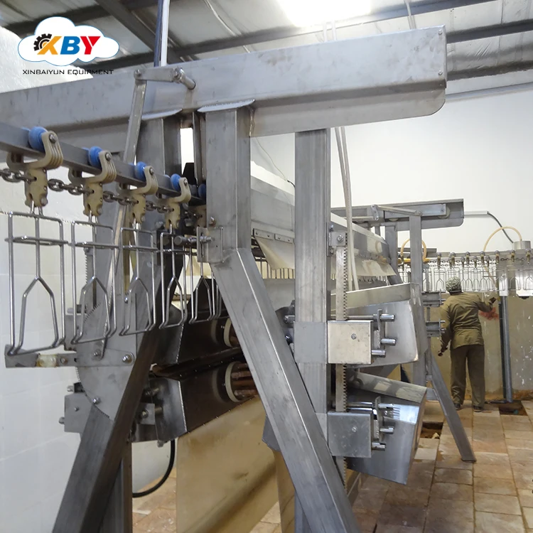 chicken industrial slaughterhouse killing slaughter cone