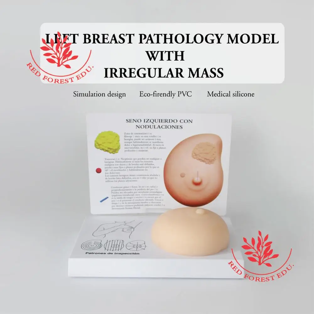 Breast Examination Simulator Milk Guidance Advanced Breast Nursing Practice Model Female Breast Model