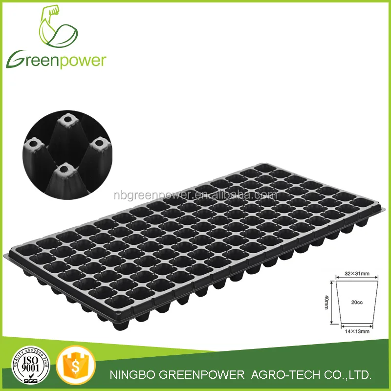 Прорастание семян лотки