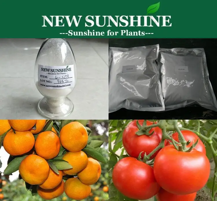 4-CPA, гормоны для томатных растений, регуляторы роста растений для томатов
