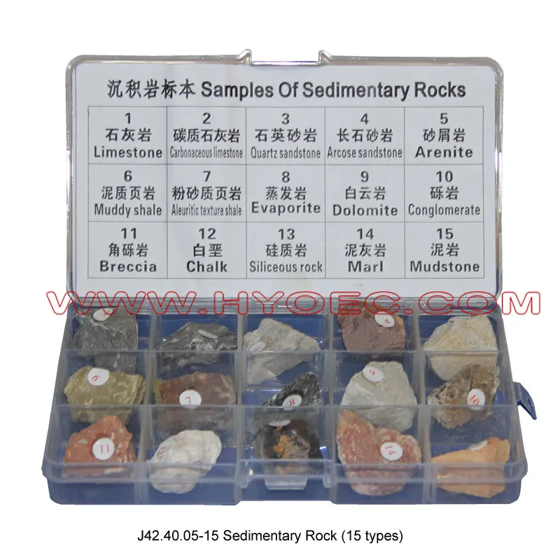 Sedimentary Rock Sample Demo for Geological Education