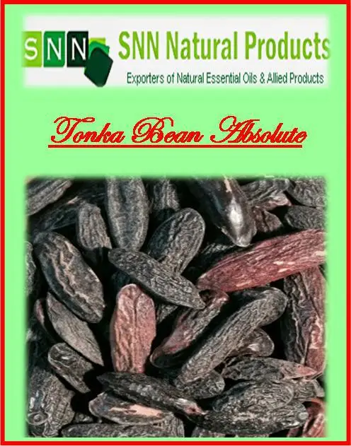 Tonka Beans Absolute