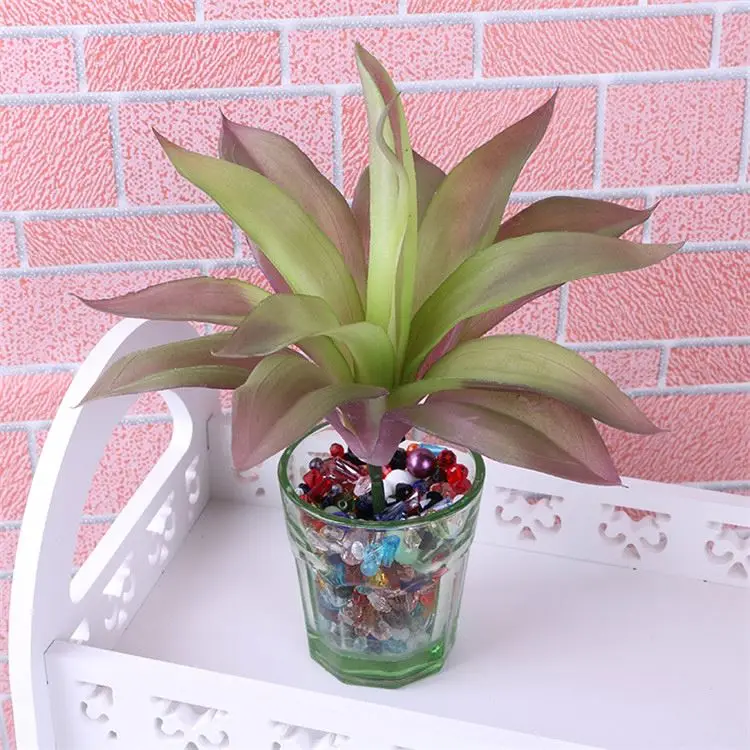 
Best selling unique design living room decorations cactus and succulents 