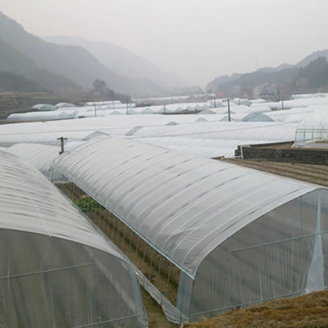 2016 New design Vegetable Fruits Flowers green house High Quality Tunnel Greenhouses