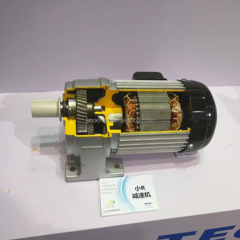 TECO Small R Series Geared Motor From 100 W to 3700 W