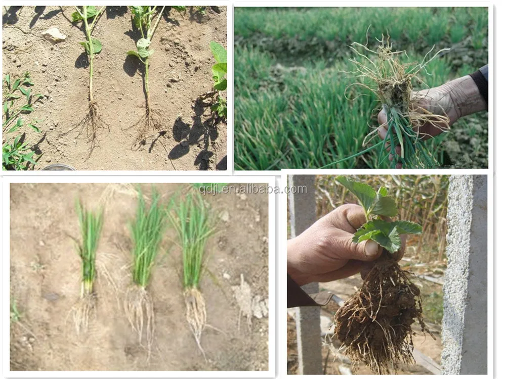 New High Quality Npk Fertilizer Prices Fertilizer Granular Npk Engrais Npk 15 15 15