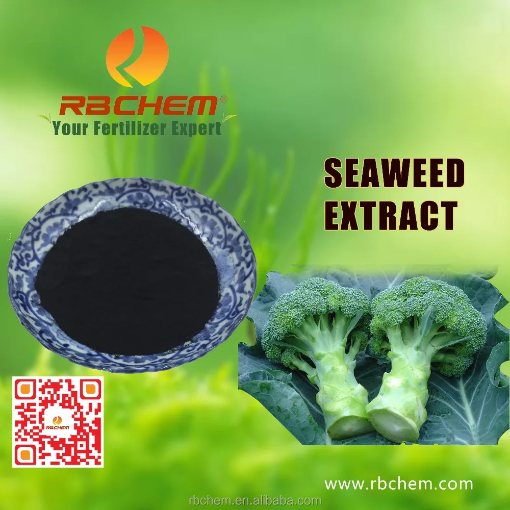 Plant Nutrients Agriculture Natural Seaweed Extract Organic Fertilizer In RBCHEM