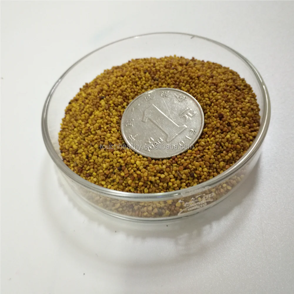 2021 семена Trifolium repens/семена белого клевера/семена кормовой травы