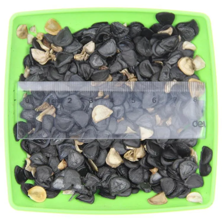 
S314 Jian ma Bulk Supply Outdoors Plants Agave Sisalana Seeds 