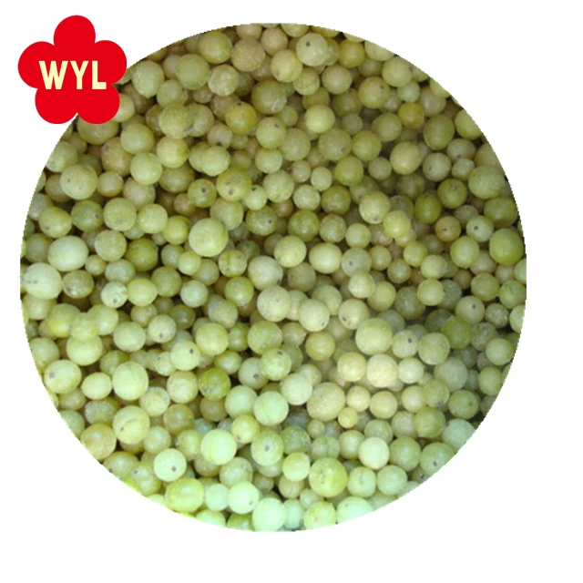 Замороженные Свежие гусиные фрукты IQF по надежной цене