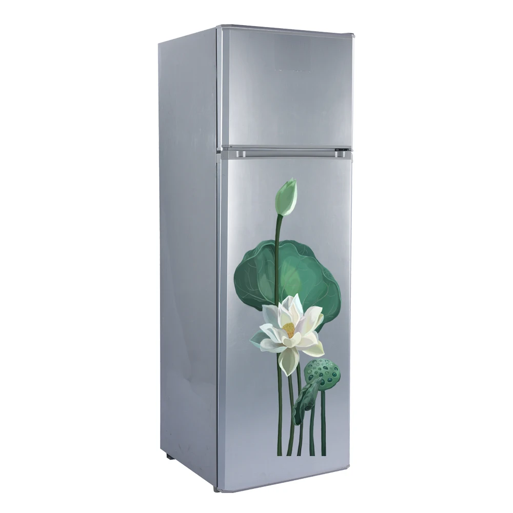 268L Solar Energy Top Freezer Double Door 12V DC refrigerator BCD-268