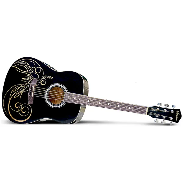 Professional Black Custom  Acoustic Guitars