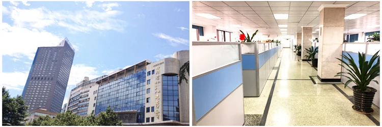 Company office transmission Locking Device Coupling V pulley timing pulley shaft coupling sprocket Gear Rack bearing chain factory price