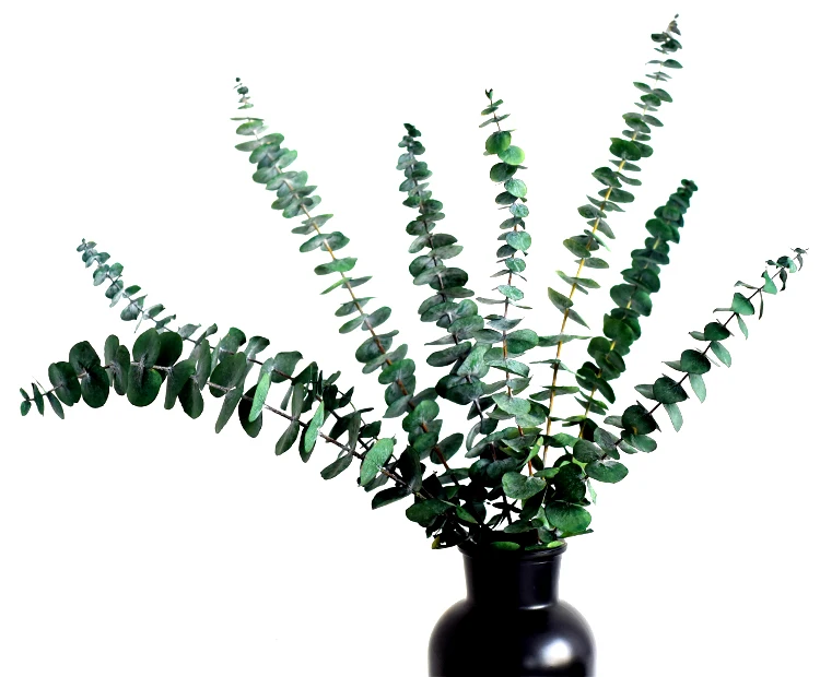 Wholesale Preserved Eucalyptus Stems Ever Lasting Flowers For Wedding Party Home Decoration