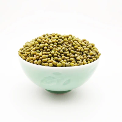 High Germination Rate Common Cultivation Sprouting Green Mung Beans