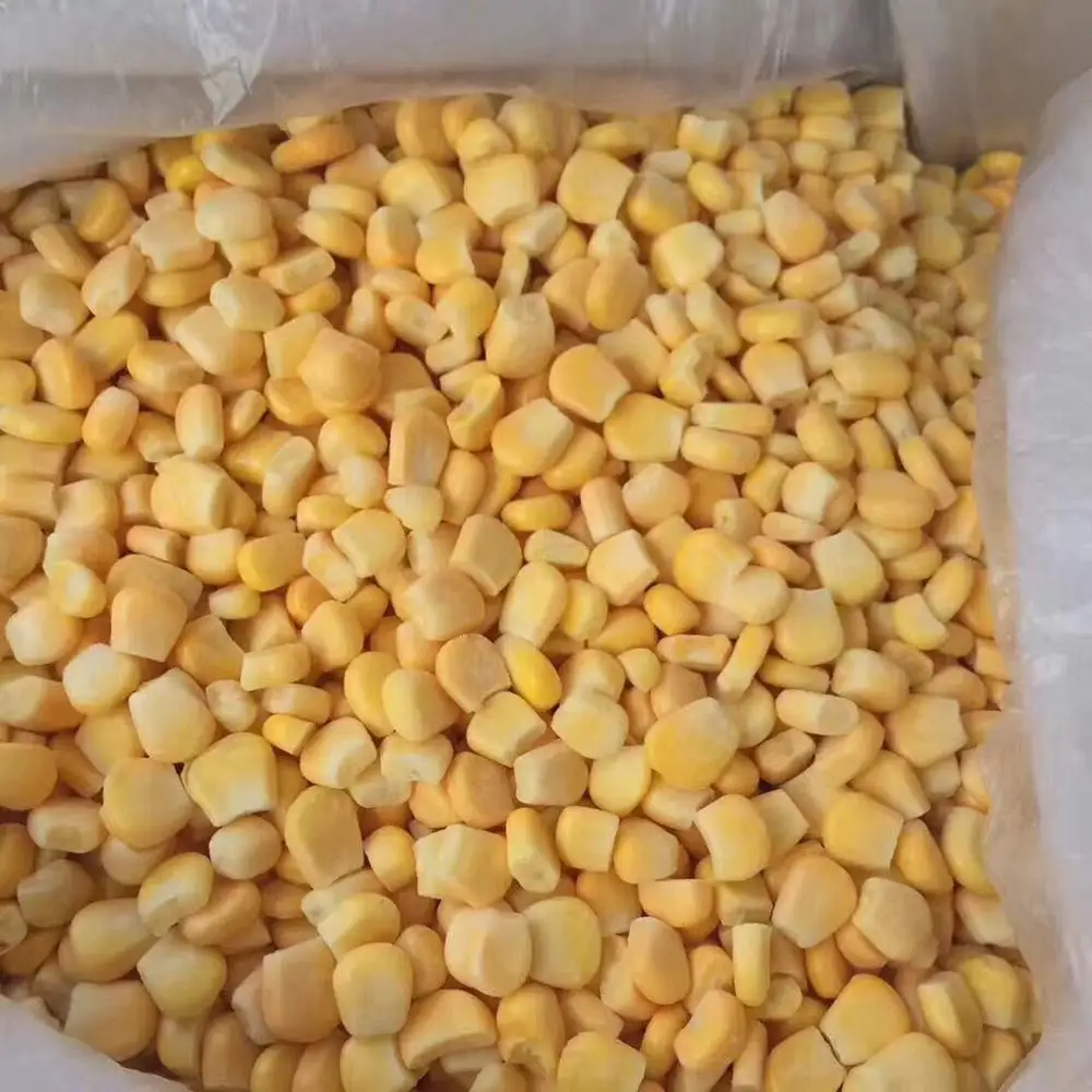 2018best price hot selling iqf frozen corn on cob