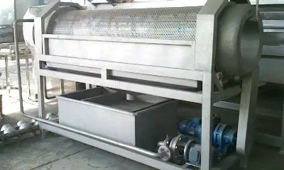 ginger vegetable washing cleaning machine washer processing line