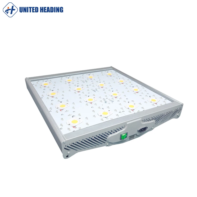 wholesale 900W COB full spectrum led grow lights for indoor plants