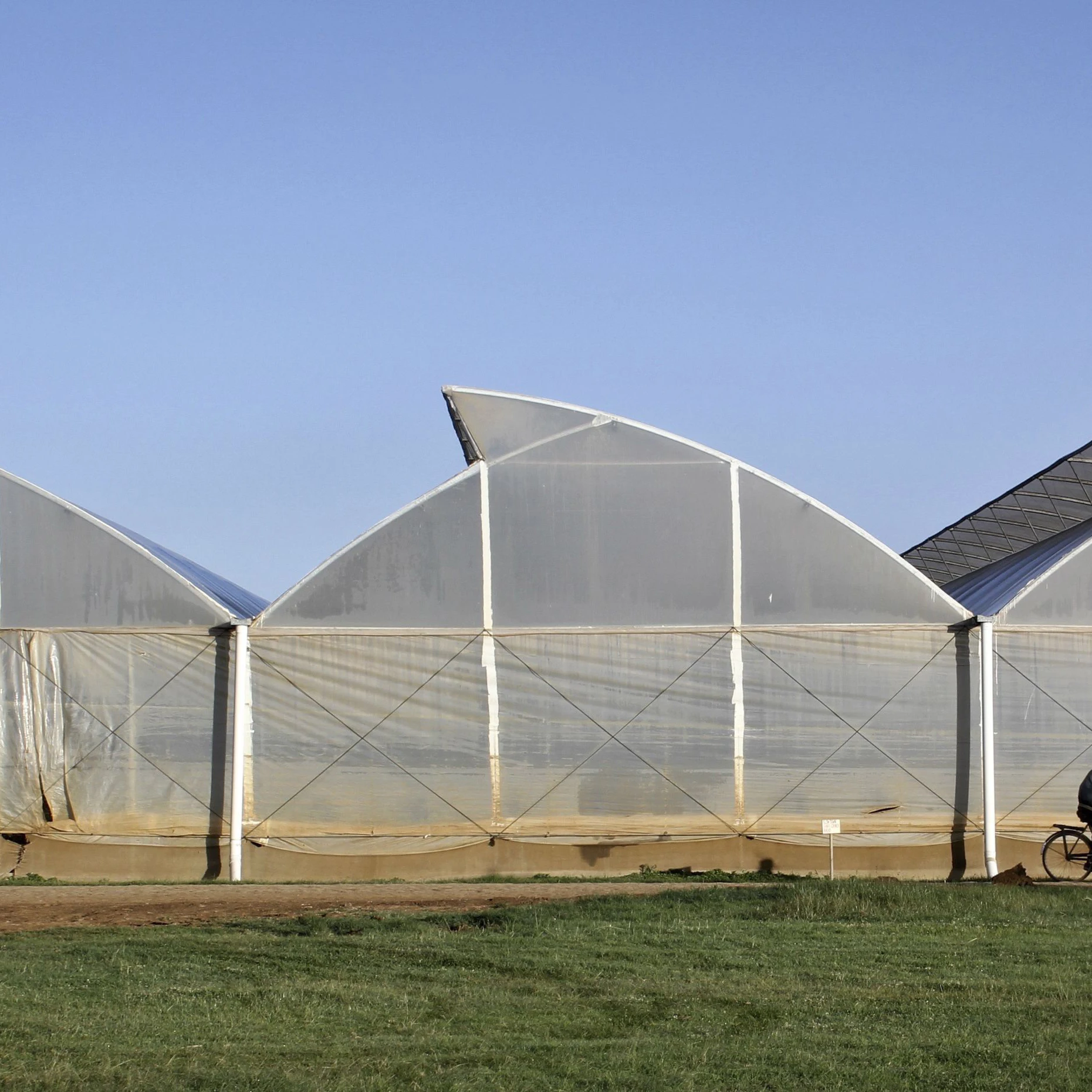 Lanyu Intelligent vegetable glass greenhouse and hydroponic growth system