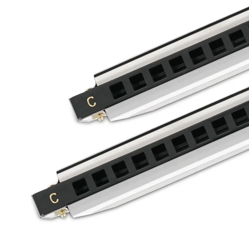 
10 hole harmonica 