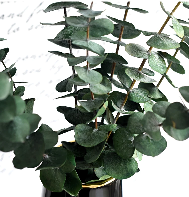 Wholesale Preserved Eucalyptus Stems Ever Lasting Flowers For Wedding Party Home Decoration