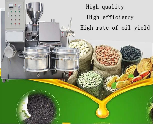 Screw Press Mustard Oil Expeller Machine Peanut Oil Press Machine Automatic Industrial Hemp Silver Food Industry Provided Great