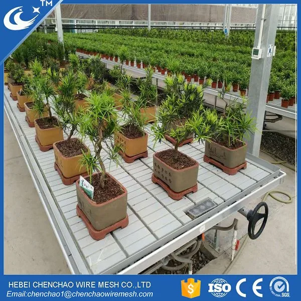 ebb and flow system Tulips Rolling Benches Commercial Greenhouse Structures