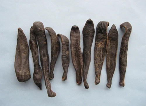 Hot Sale CT-C Series Hot Air Circulation Leech Dryer