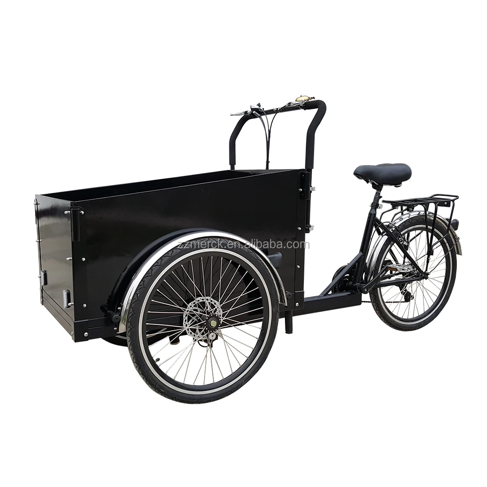 Magazines and Mails Delivery Three Wheel Denmark Electric Trike Cargo Bike for Sale