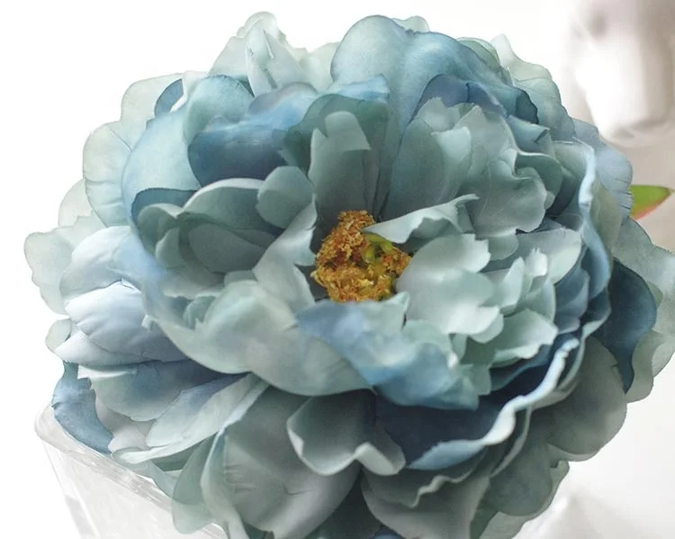 Flower head of   blooming peony