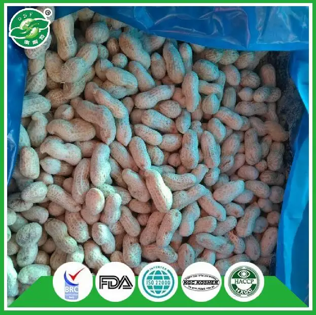  Стандартная экспортная упаковка HACCP замороженные овощи и арахис с красной кожей