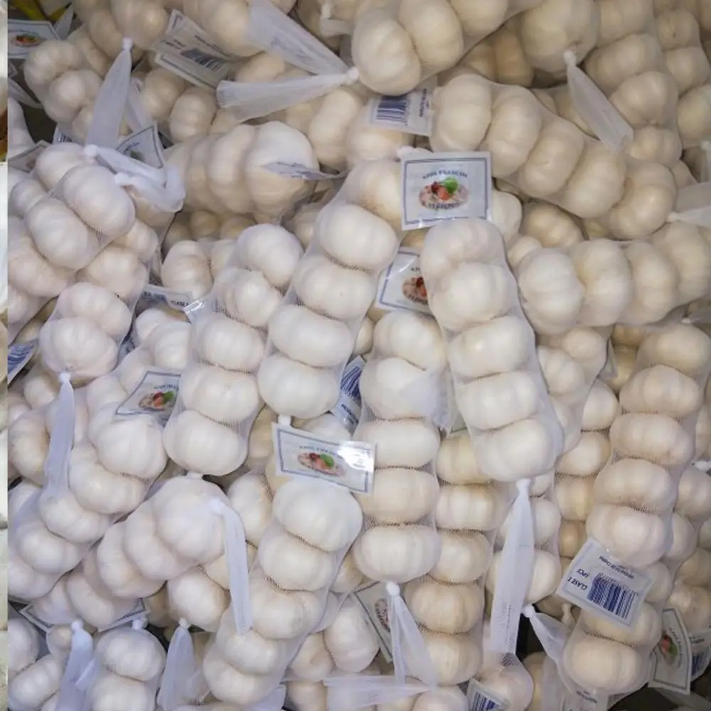 
small size garlic normal white garlic chinese garlic factory 