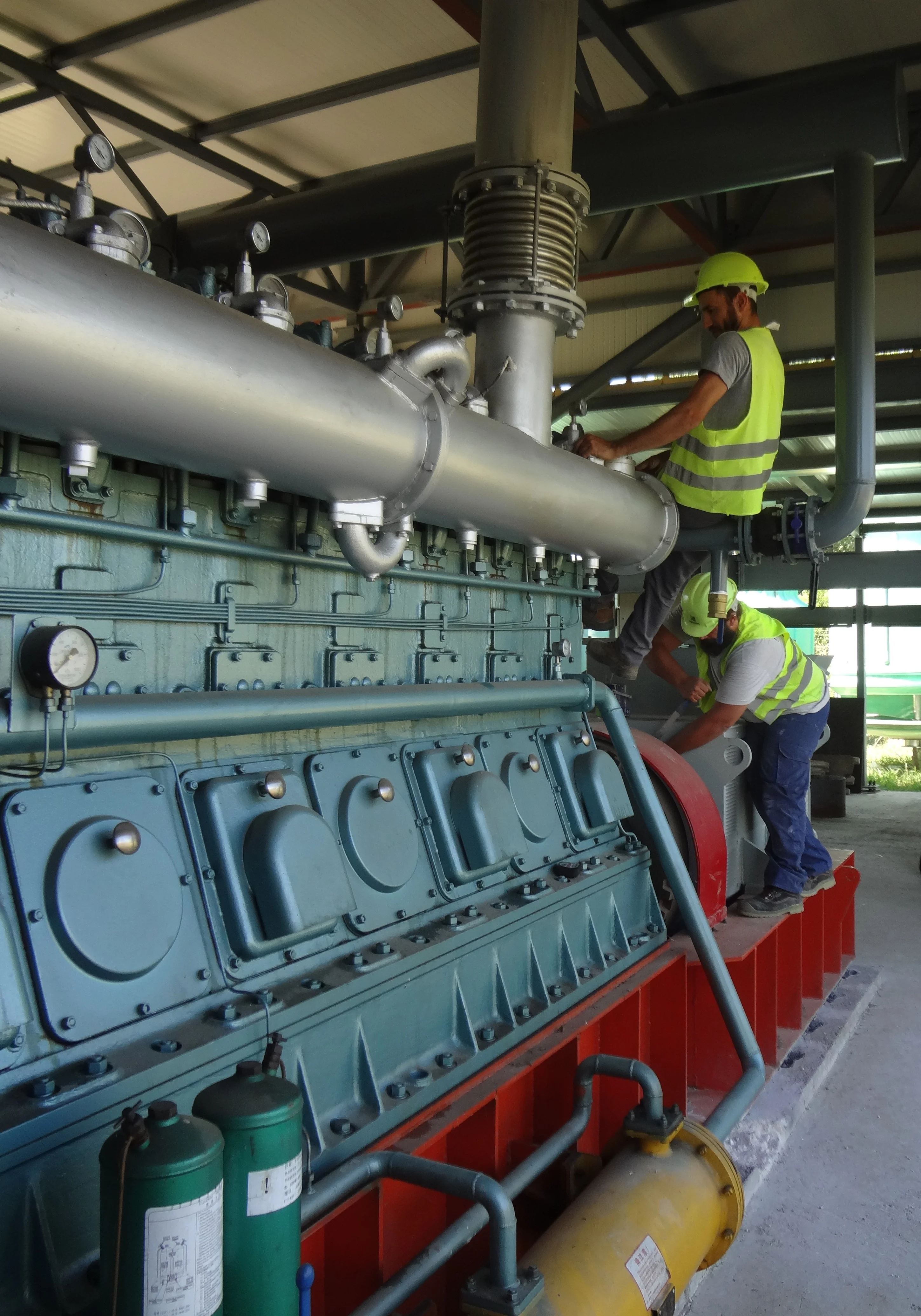 Pig Farm Waste Treatment Biogas Digester Plant