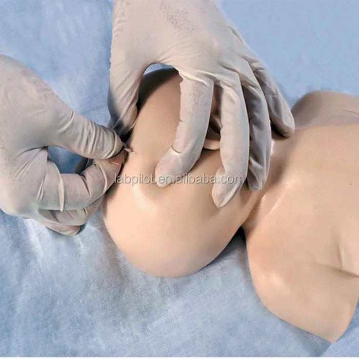 Neonatal Scalp Venipuncture Training Model, Venous Infusion Training Head