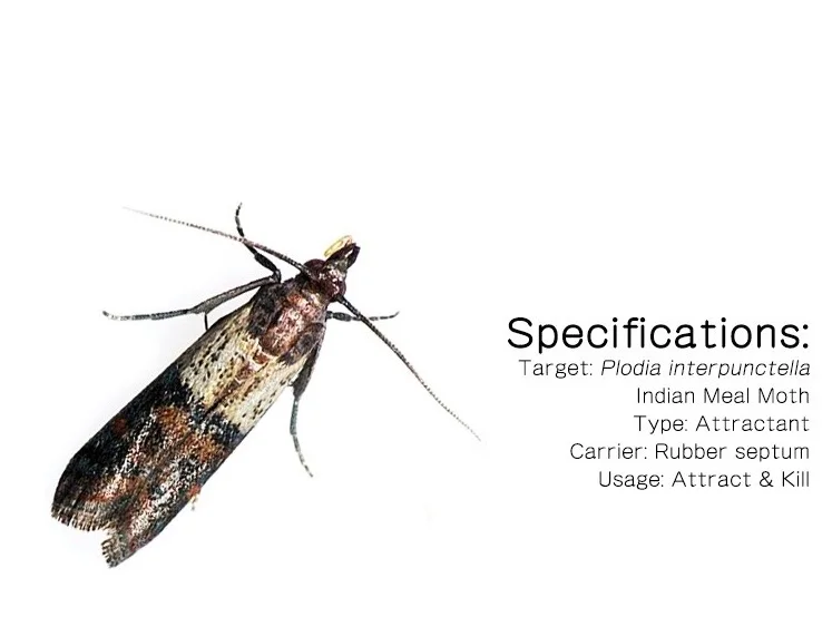 Plodia interpunctella насекомые феромоны для буфета ловушка для моли