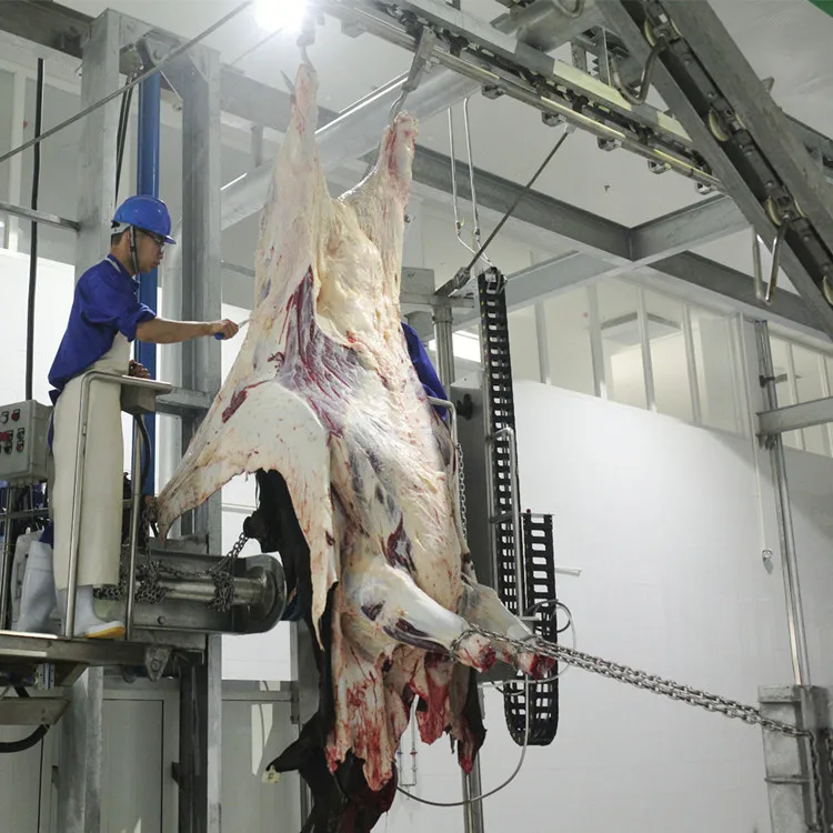  Гидравлическая машина для удаления кожуры из воловьей кожи