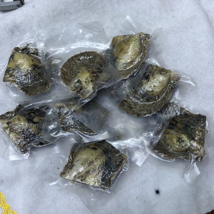 7-8mm seawater shell pearls wholesale pearl oysters with pearls