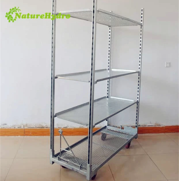 Great galvanized danish flower trolley nursery cc container